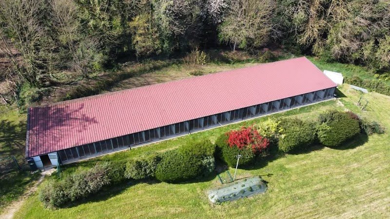 Pension de Chien L'Arche de Noël Lestic - photo 2