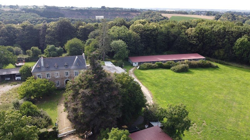 Pension de Chien L'Arche de Noël Lestic - photo 3