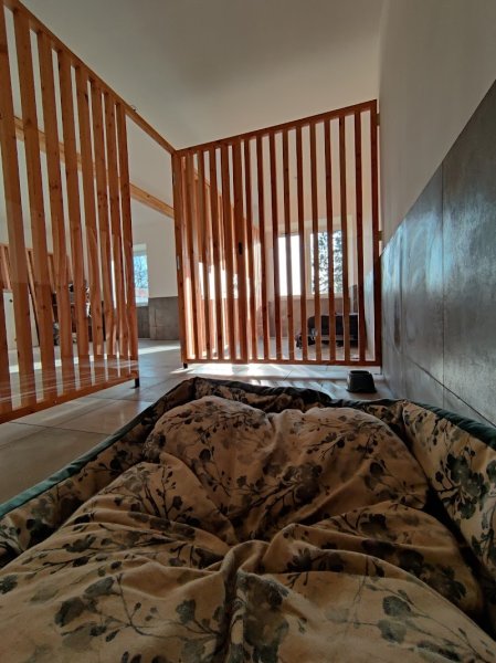 Ranchachien - photo 2