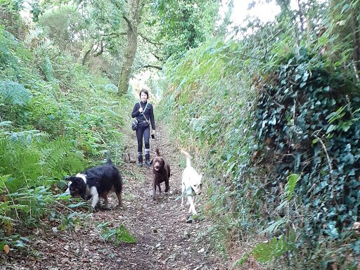 Parlons Chien - photo 2