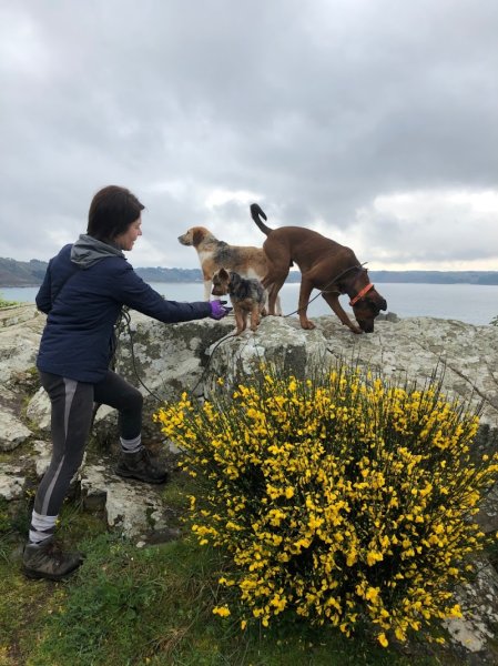 Parlons Chien - photo 3