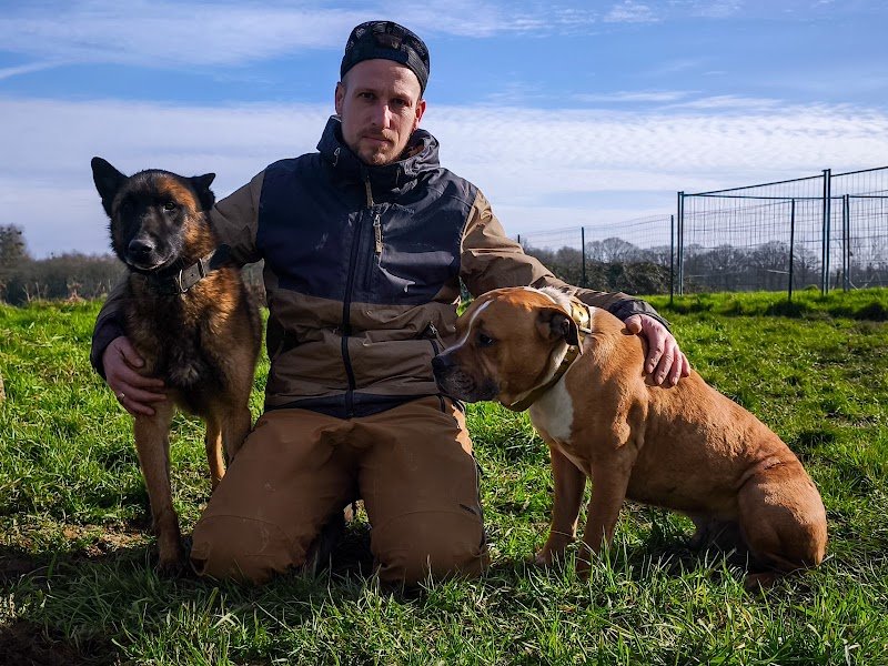 SYM DOG 56 – Éducateur canin comportementaliste – Brignac / Morbihan - photo 3