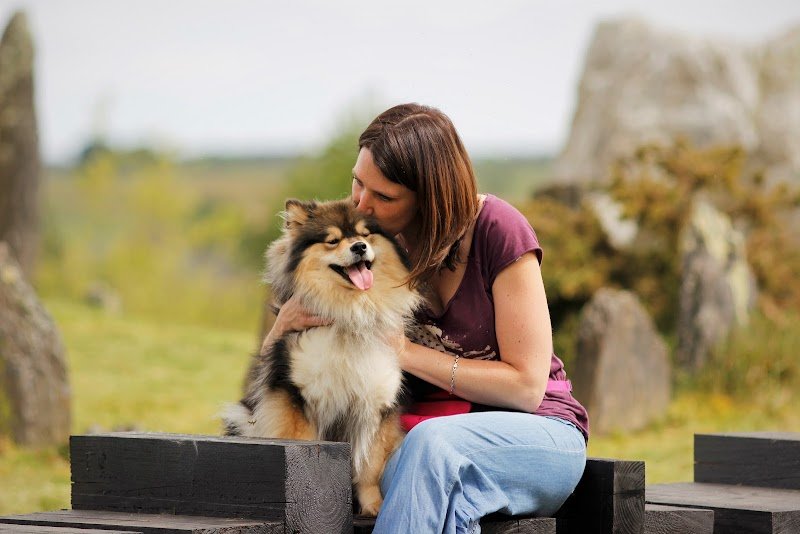 Happy Dogs Therapy - Educateur, comportementaliste et masseur canin