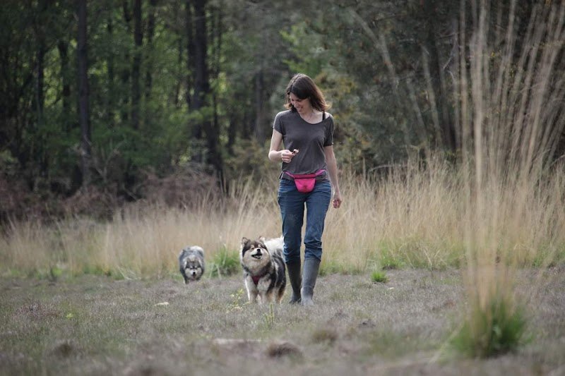 Happy Dogs Therapy - Educateur, comportementaliste et masseur canin - photo 3