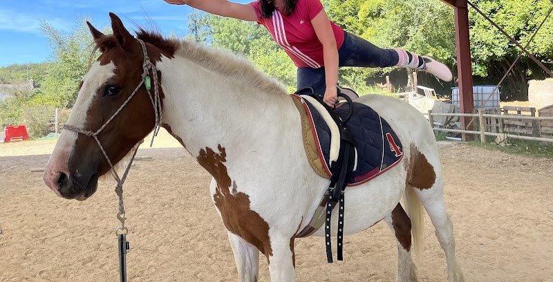 Ecole des sens - équitation comportementale - photo 2