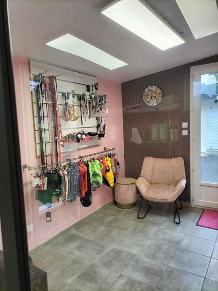 Au Bonheur Canin - photo 3