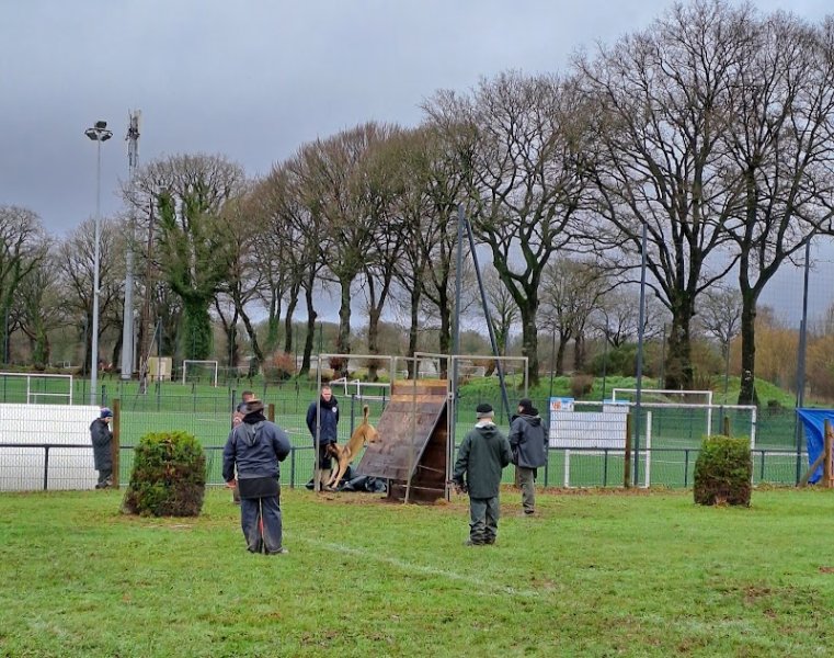 Carhaix Sports Canins