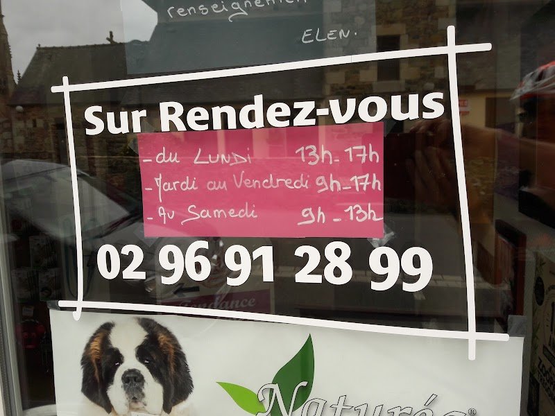 Tendance Canine - photo 3