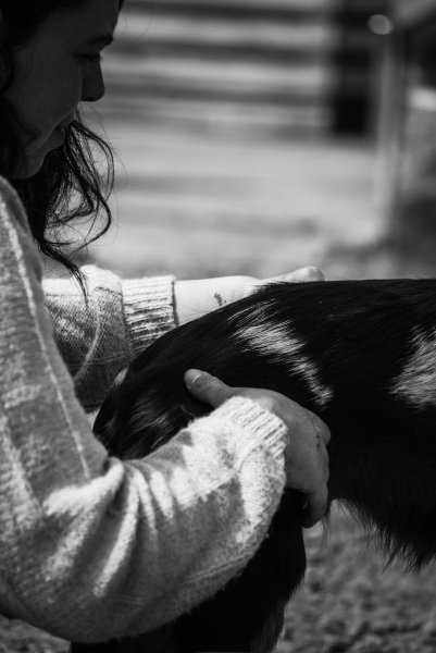 Léa Sensi Ostéopathie Animale (bovins, équins, canins, nacs) - photo 1