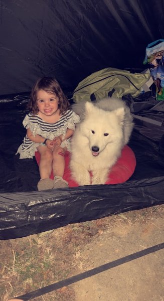 Aurore and dogs - photo 2