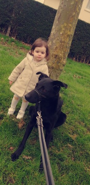 Aurore and dogs - photo 3