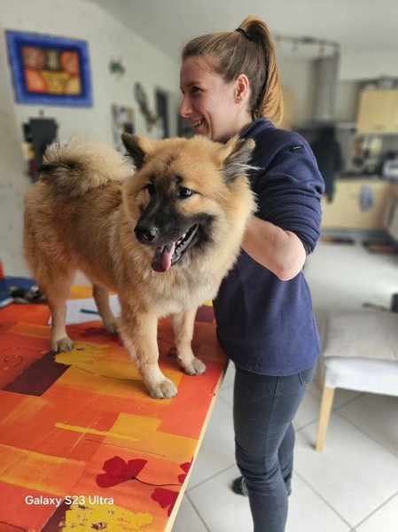 Ostéopathe Kinésiologue Animalier Equin, Canin, Félin, Bovin - Lemarié lucille