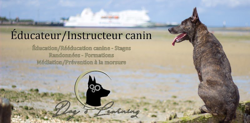 Dog's Learning - photo 1