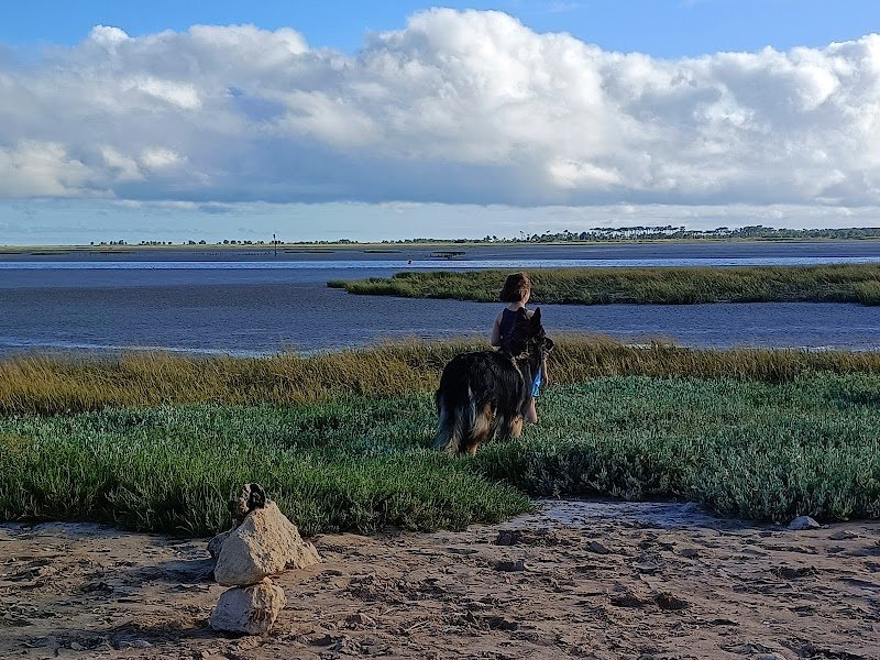 Le chemin du chien - photo 2