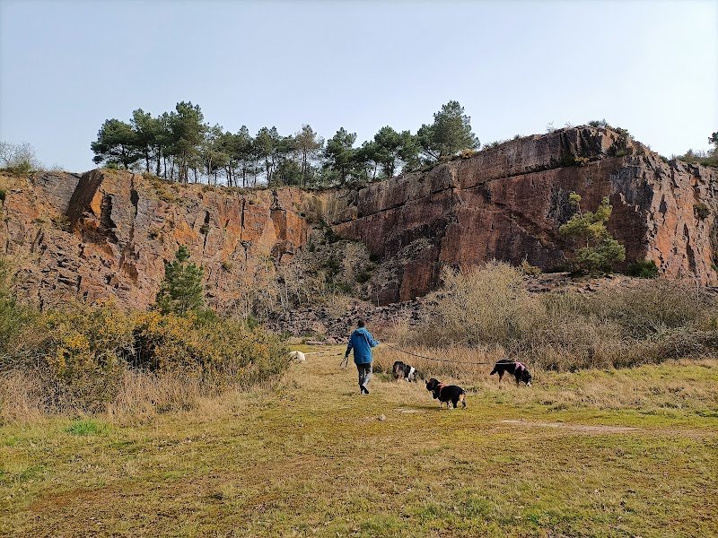 Le chemin du chien - photo 3