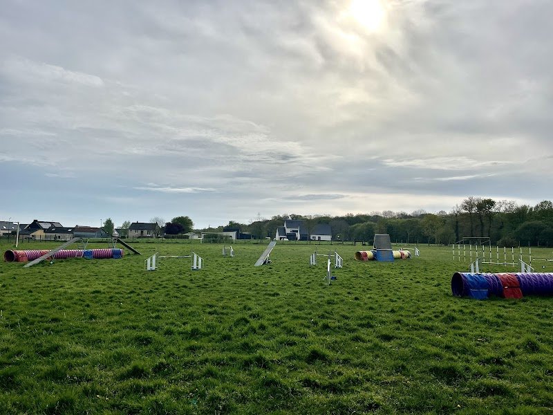 Club d'Éducation et Sport Canin Montalbanais (ESCM)