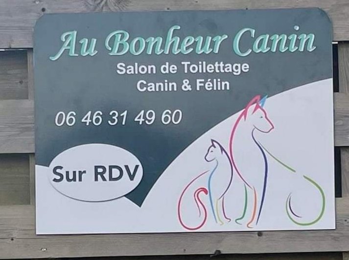Salon Toilettage Au Bonheur Canin