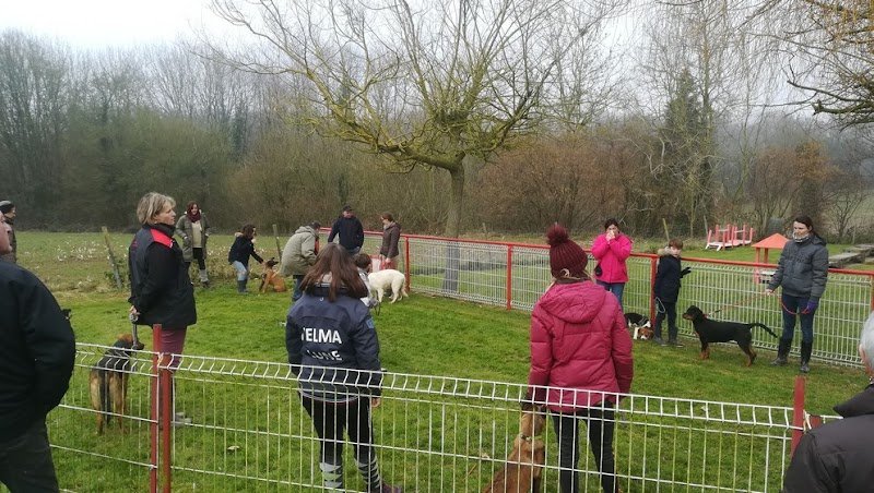 Club canin de Miniac sous Becherel - photo 1