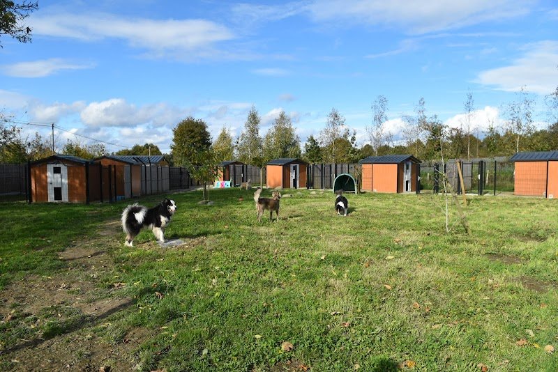 La Colo de Maestro - pension canine - photo 1