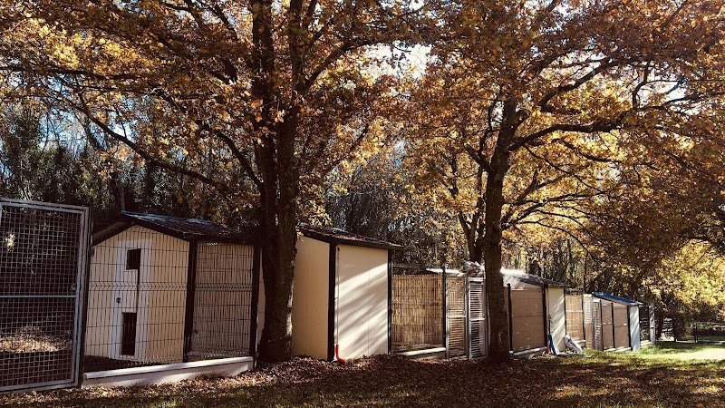 Village Vacances Félin et Canin