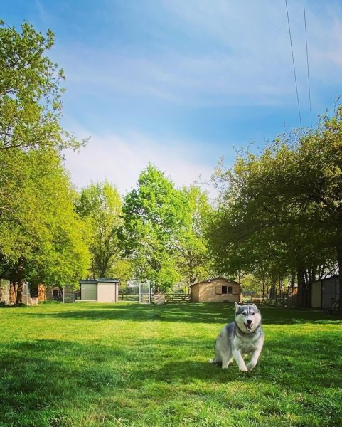 Village Vacances Félin et Canin - photo 2