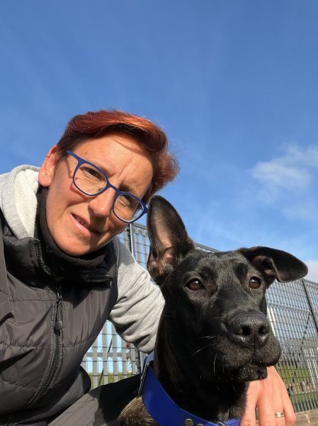 Éducateur Canin L'Academie Des Chiens - Finistère - photo 3