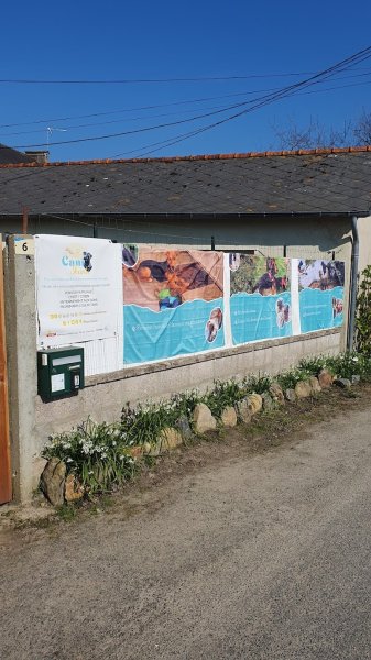 Cani Shanti – Pension canine