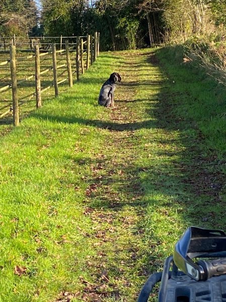 Temps de Chien - photo 2