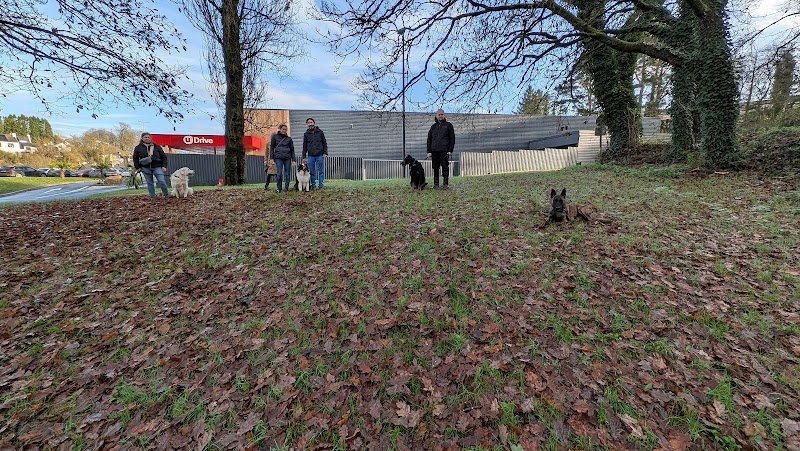 Breizh Heson Ki - Educateur Canin à Landivisiau - photo 2