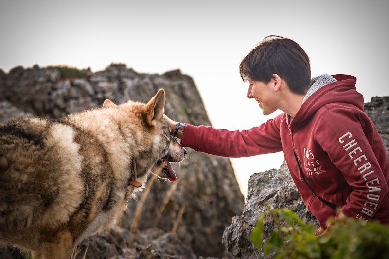 4 Pattes et moi - Comportementaliste Éducateur Canin Félin