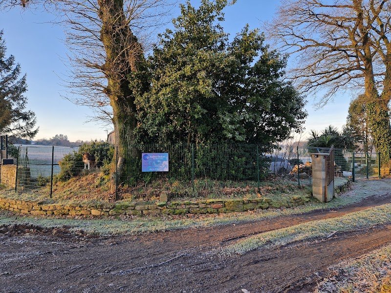 Audrey Budant - Educateur canin - photo 3