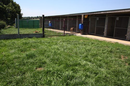 CEPJ - CENTRE TOILETTAGE & PENSION CHIEN JOSSELIN