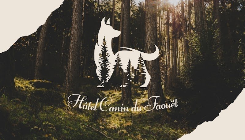 Hôtel canin du Faouët - photo 1
