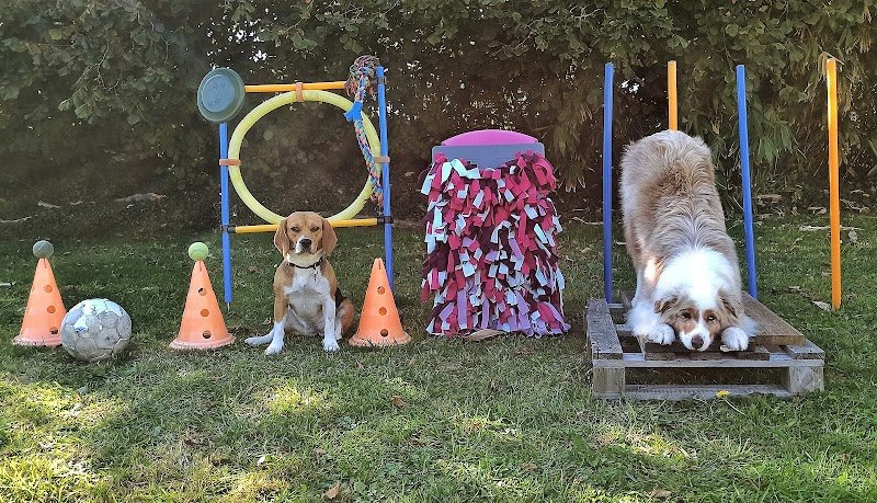 Malou Houssay éducatrice canin - photo 1