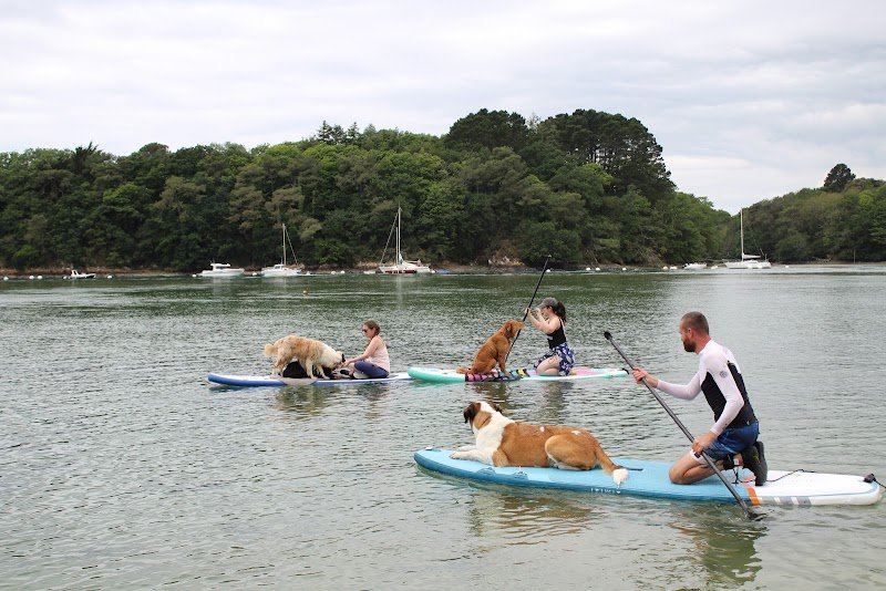 Malou Houssay éducatrice canin - photo 2