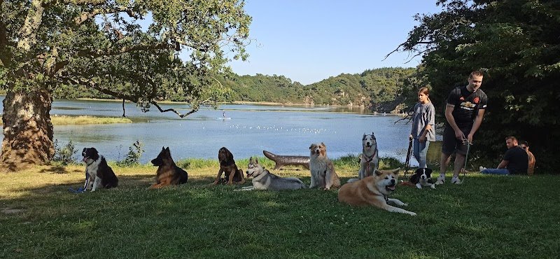 Malou Houssay éducatrice canin - photo 3