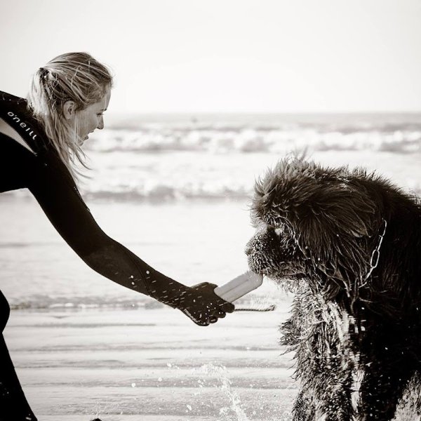 Anaëlle Louët Educateur canin bretagne - photo 2