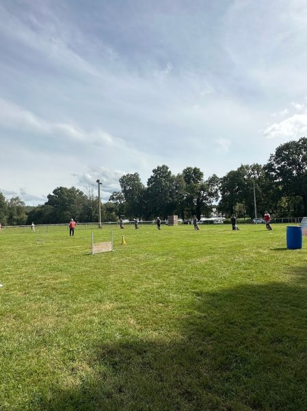 Club Canin Plouaysien - photo 1