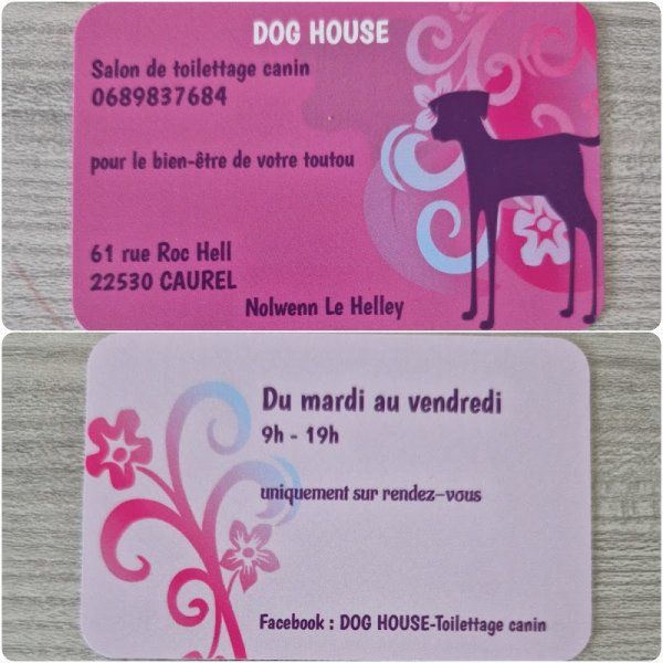 Dog House Toilettage canin