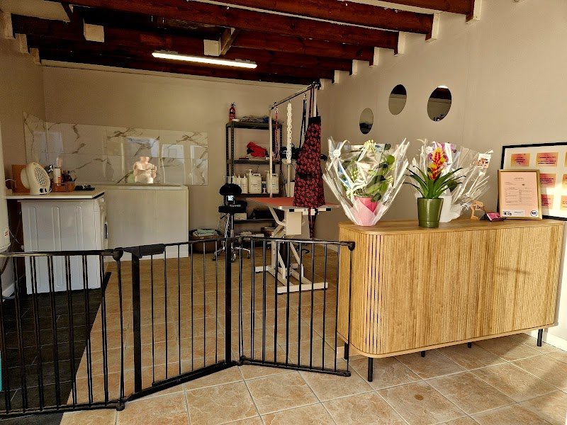 Dog House Toilettage canin - photo 2