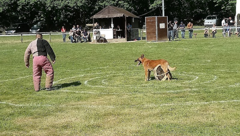 Club Canin de Rédéné - photo 3