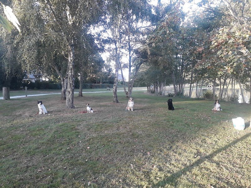 Didier Education Canine Saint Gilles - photo 2