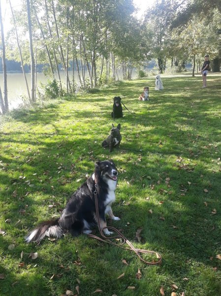 Didier Education Canine Saint Gilles - photo 3