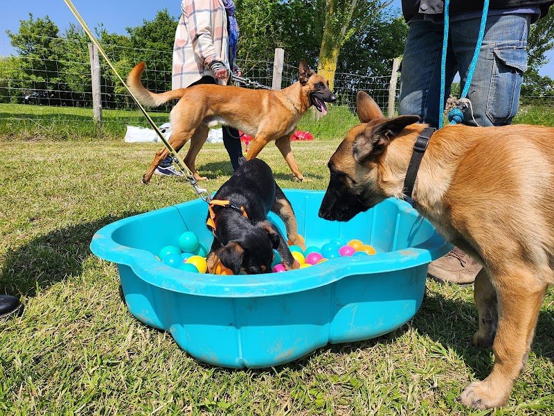 Club Les Corsaires Canins - photo 2