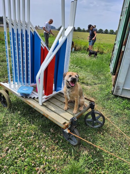 Club Les Corsaires Canins - photo 3