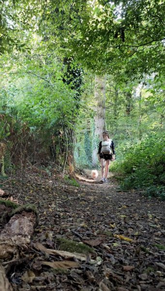 Ohana Éducation Canine - photo 2