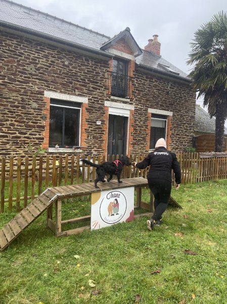 Ohana Éducation Canine - photo 3