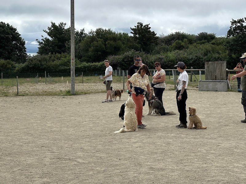 Centre d'Education Canine d'Agility Brest - photo 1