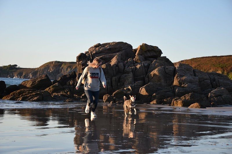 Melting Pattes - Coach Mantrailing, Educateur canin, Comportementaliste, Cynologiste - Brest