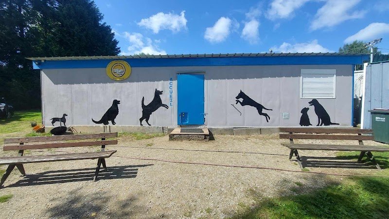 Club Canin de l'Iroise - photo 2